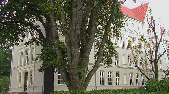 Grundschule Kirchstr. Bischofswerda